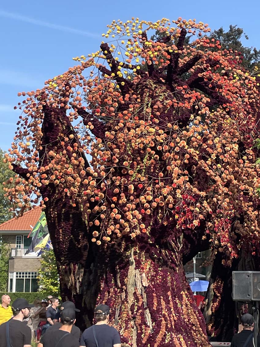 10 september Bloemencorso Lichtenvoorde